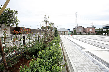 植栽