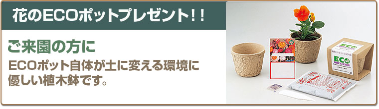ご来園の方にプレゼント