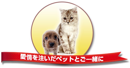 ペットも一緒にお墓に入れます