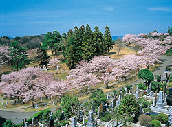 春の霊園風景2